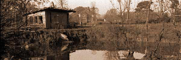 The Log Cabin and pond