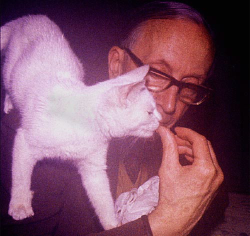 A passion for cats